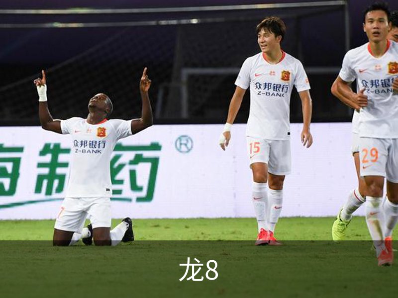 关于龙8